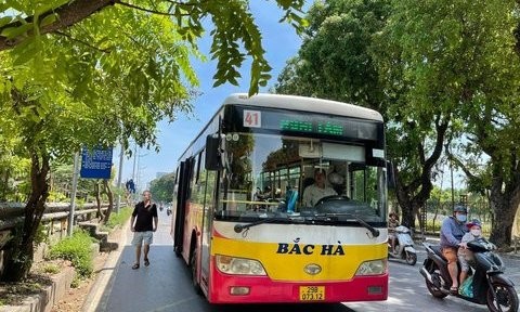 bac-ha-1659176587.jpg