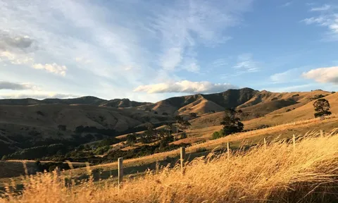 New Zealand lãng mạn trong mắt cô gái Việt