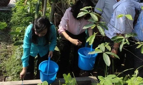 29 ca tử vong vì sốt xuất huyết, Bộ Y tế kêu gọi diệt bọ gậy