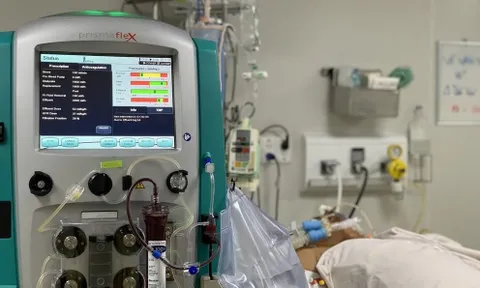 Hà Nội phân tuyến quản lý điều trị người bệnh sốt xuất huyết Dengue