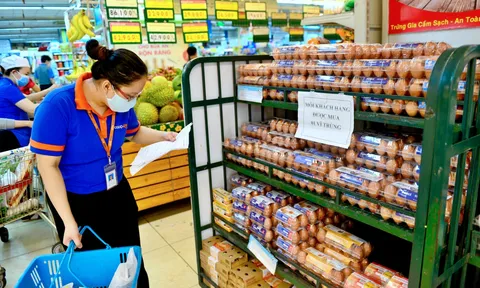 Giá trứng gia cầm bình ổn ở TP.HCM có thể buộc phải tăng trong thời gian tới